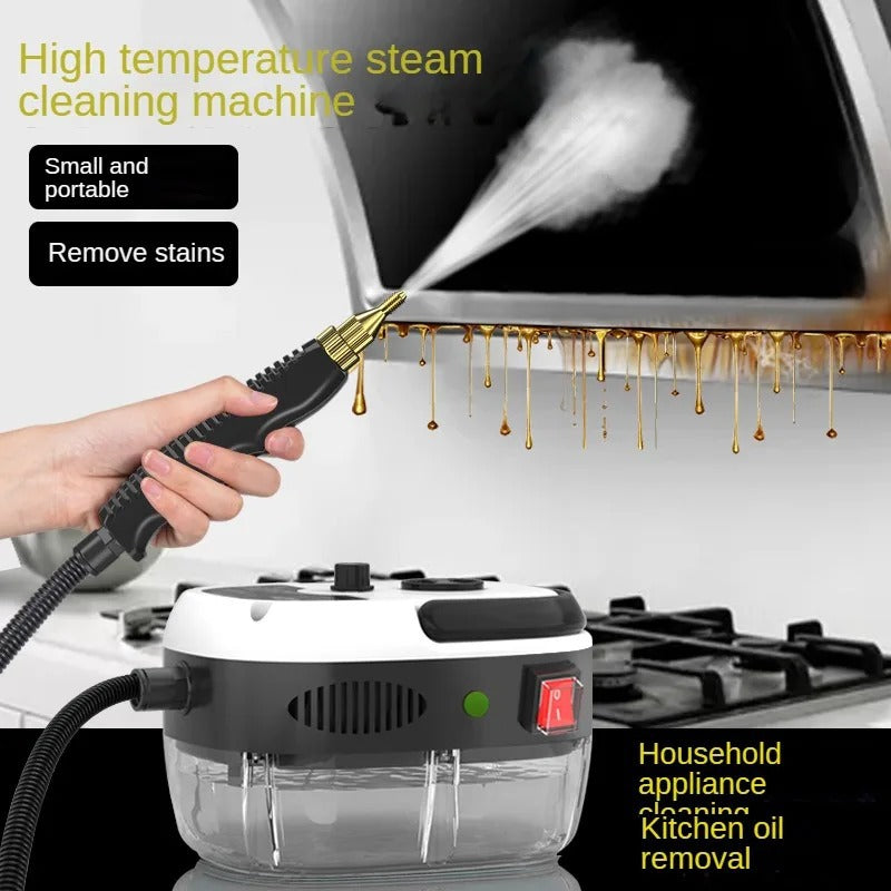 High-Temperature Steam Cleaner for Home and Car  Sterilization and Cleaning, 110V US Plug  220V EU Plug